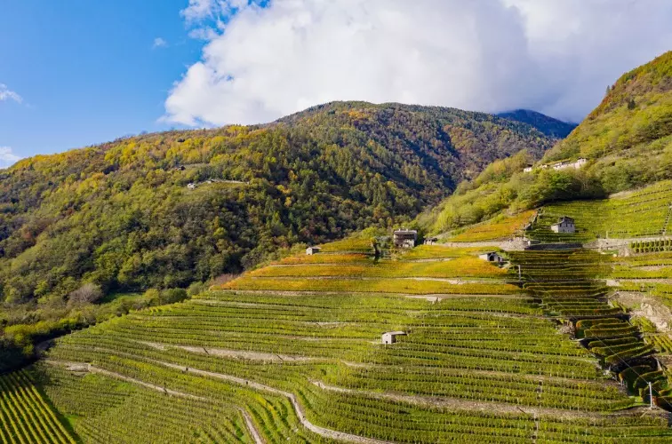 Franciacorta – der große Schaumwein Italiens 2 Lombardai Anbaugebiet