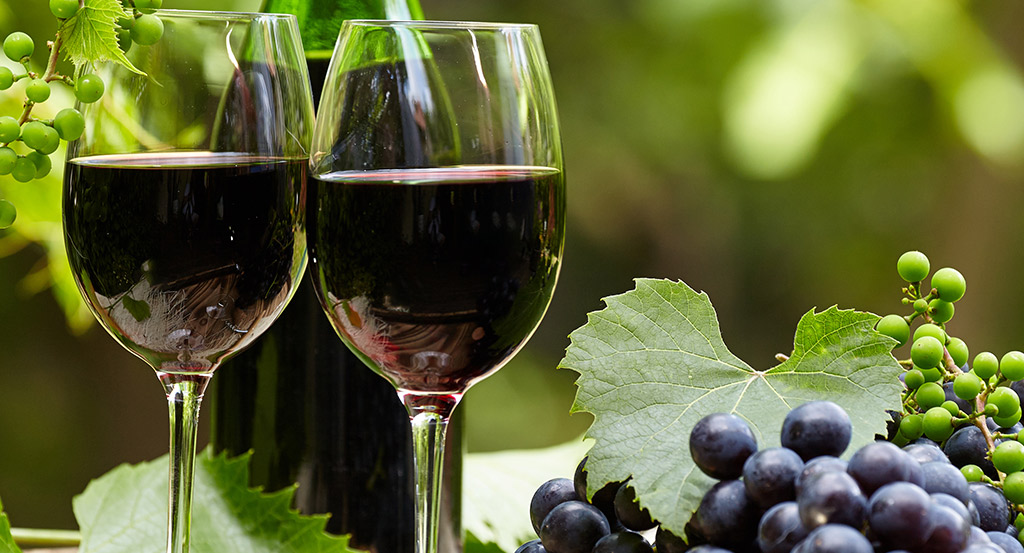 Primitivo Wein italienischer Rotwein aus Apulien Primitivo Wein italienischer Rotwein aus Apulien