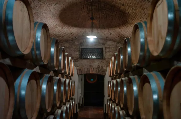 Valpolicella Ripasso DOC 7 Valpolicella Ripasso Weinfaesser