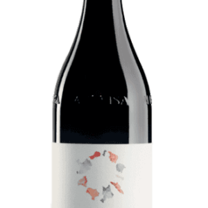 Barolo Wein 138 Barolo DOCG Undicicomuni Arnaldorivera