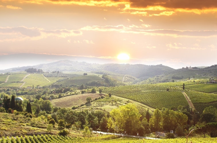 15 beste Weingüter der Toskana 10 Beste Weingüter der Toskana