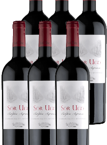 Sor Ugo Bolgheri Rosso Superiore DOC Aia Vecchia 6er Paket