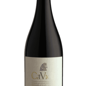 Die 3 Gläser Weinhighlights 2025 7 Ca Viola Barolo Sottocastello di Novello