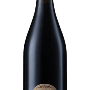 Montepulciano d'Abruzzo: der spitzenklassige Rotwein Italiens 5 Montepulciano d'Abruzzo Riserva DOC Marina Cvetic Masciarelli