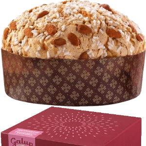 Panettone Gran Galup Amarene e Cioccolato  Galup