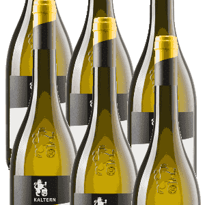 6er Karton Südtiroler Goldmuskateller DOC Kellerei Kaltern