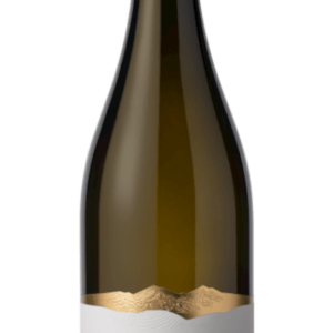 elena_walch_pinot_grigio-min